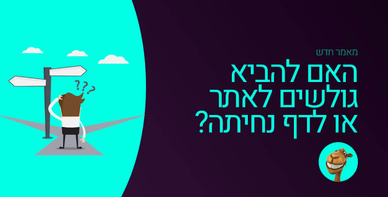 האם להביא גולשים לאתר או לדף נחיתה?